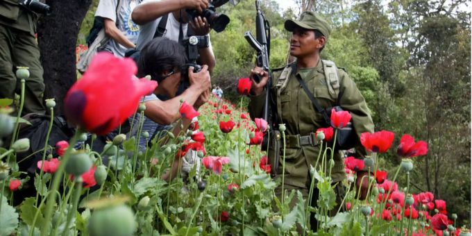 Es wird spekuliert, dass der illegale Mohn-Anbau in diesem Gebiet zum Streit geführt hat (Symbolbild). Es wird spekuliert, dass der illegale Mohn-Anbau in diesem Gebiet zum Streit geführt hat (Symbolbild).