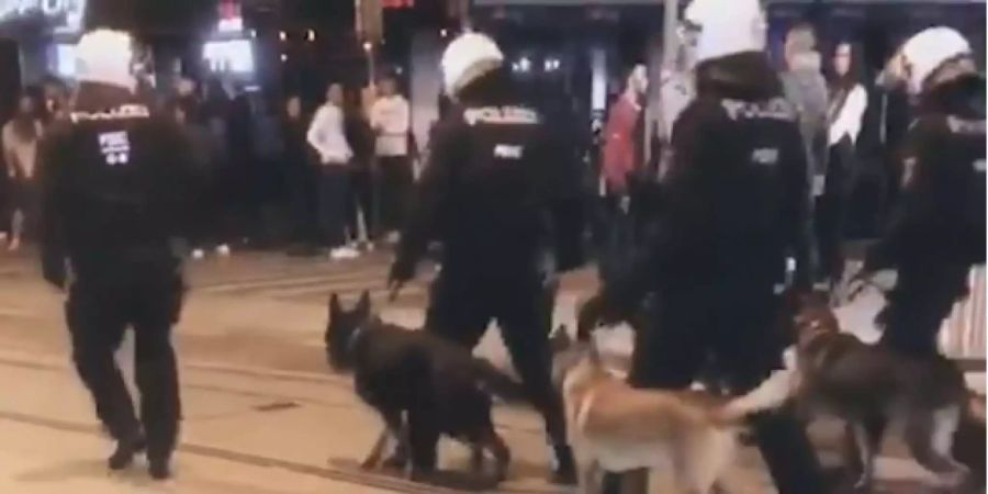 Auch Polizeihunde kamen zum Einsatz.