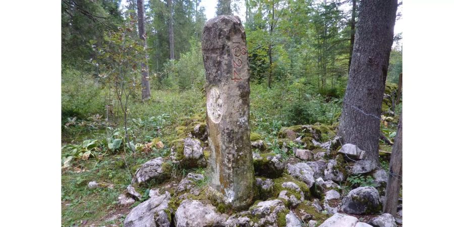 Auf der Jurahochebene bei Sainte-Croix (VD) gibt es einen Grenzsteinpfad. Unzählige Grenzsteine sind Zeugen der vergangenen Grenzstreitigkeiten zwischen der Schweiz und Frankreich.