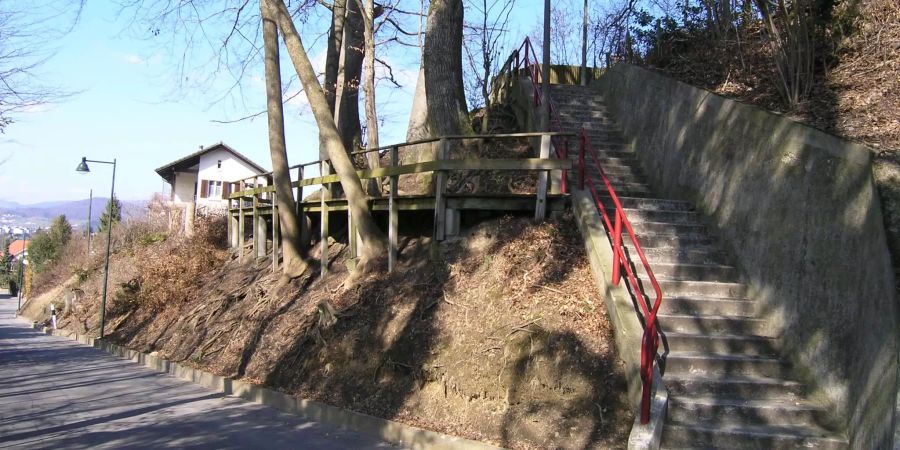 Der Holzsteg beim Eigerweg wird saniert - zvg