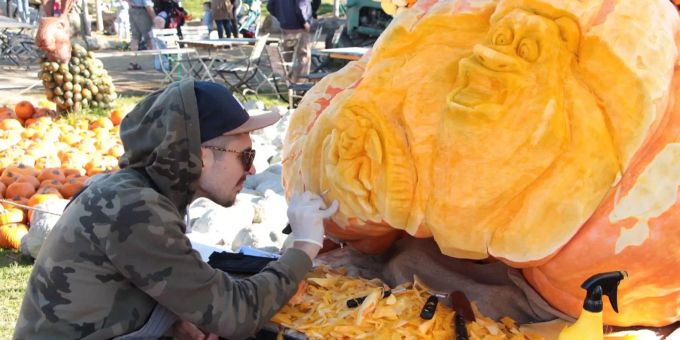 Jucker-Farm-Festival - Hier verwandeln Künstler Kürbisse in Kunstwerke