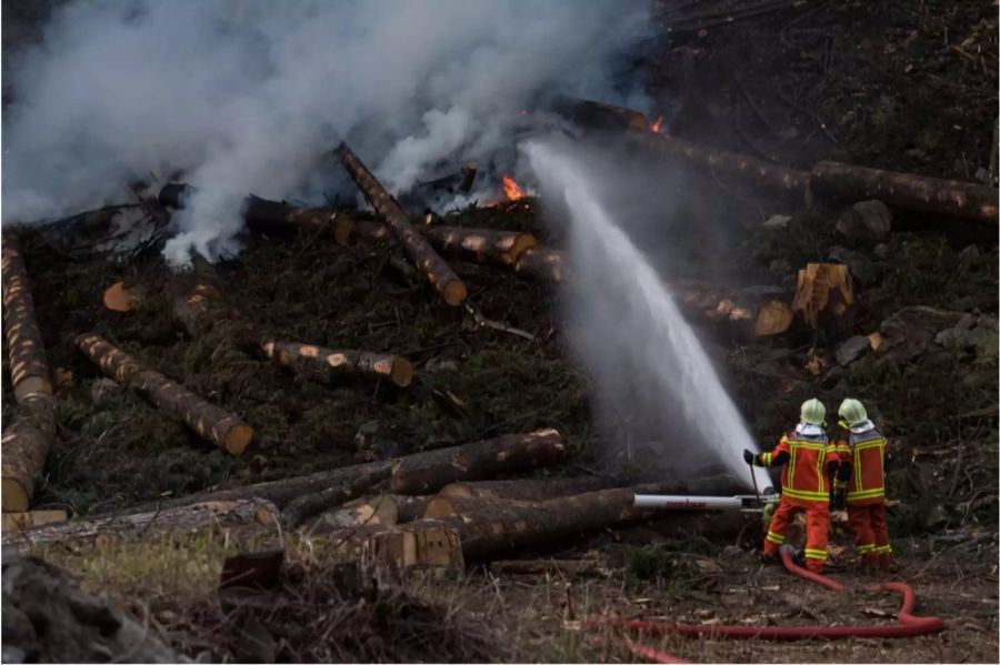 Faido (TI), April 2017: Waldbrand in Faido bei dem unteranderem drei Super-Pumas zum Einsatz kamen.