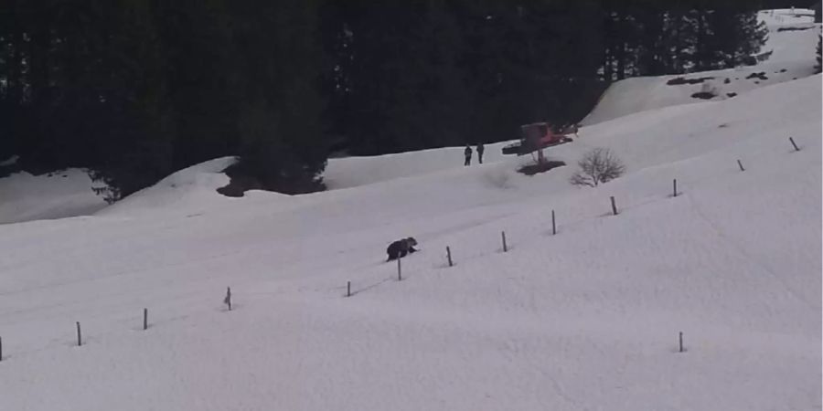 M29 Anfang April im Kanton Nidwalden (Archivbild).