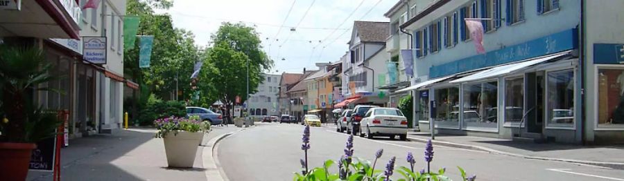 Neuhausen am Rheinfall