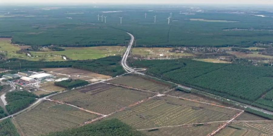 Blick auf das Gelände für die Tesla-Fabrik in Grünheide. Foto: Tino Schöning/dpa