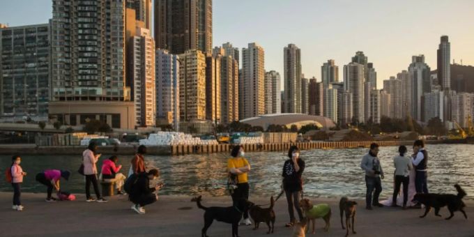 Hundebesitzer in Hongkong müssen im Falle einer Coronavirus-Infektion ihre Tiere ebenfalls unter Quarantäne stellen. Hongkong Coronavirus
