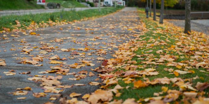 Herbstlaub auf der Strasse. (Symbolbild) Herbstlaub auf der Strasse. (Symbolbild)