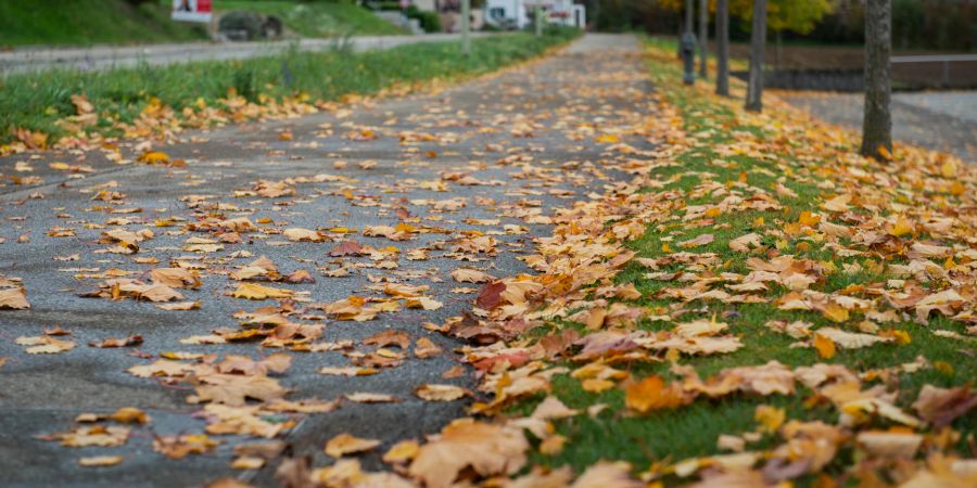 Herbstlaub auf der Strasse. (Symbolbild)