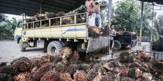 Mehr gesunde Produkte - Nestlé setzt auch weiterhin auf Palmöl Mehr gesunde Produkte - Nestlé setzt auch weiterhin auf Palmöl
