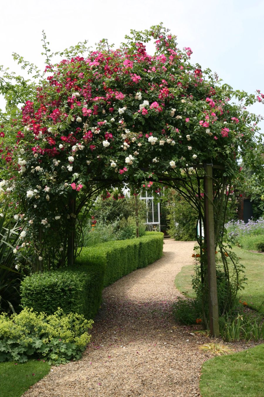 cottage-garten, ranken