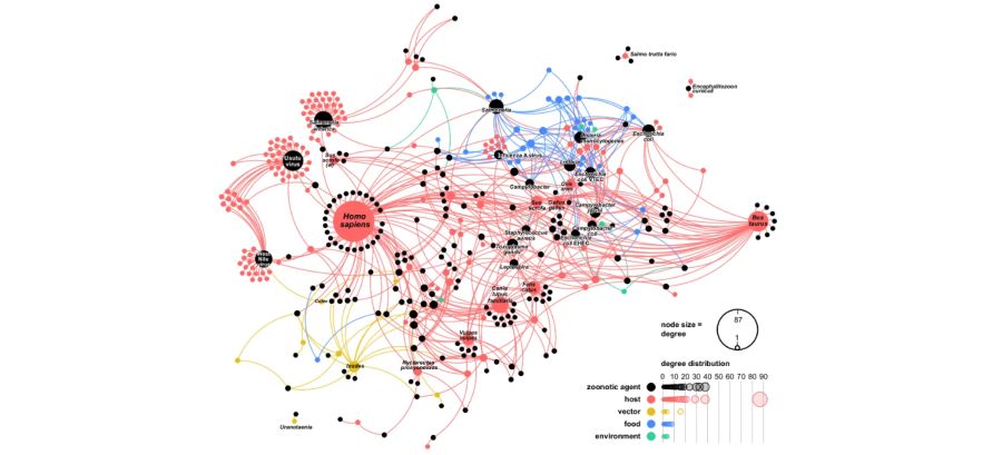 Infografik Zoonose