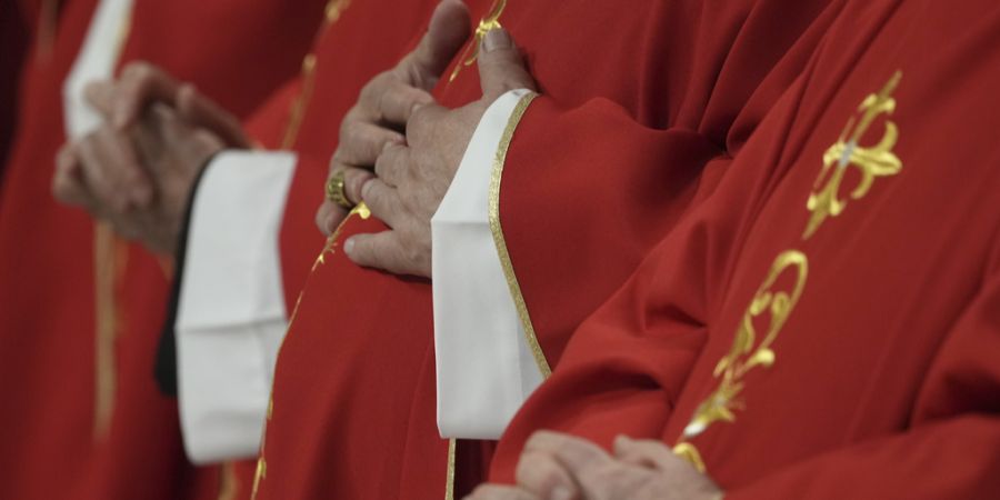 Kardinäle Papst