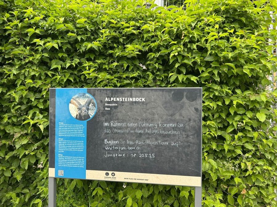 tierpark Bern
