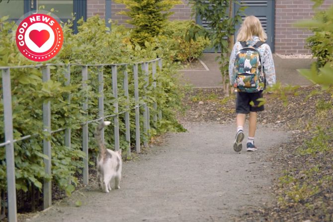 Katze Kiki