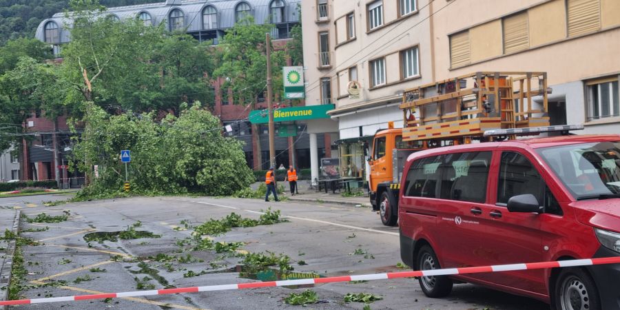Biel Sturm
