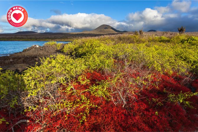 Floreana Galápagos Inseln