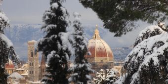 Florenz im Winter, Schnee, Bäume