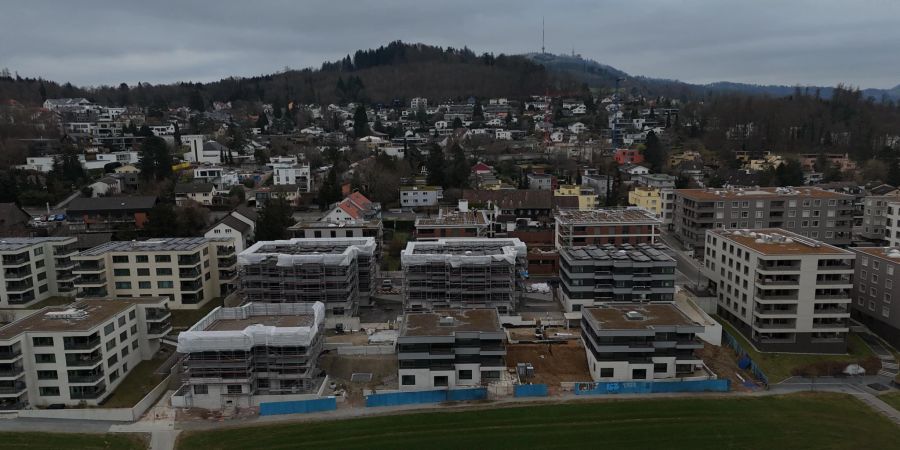 Häuser uetliberg