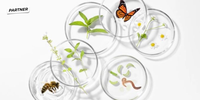 Zum Thema - Was bedeutet Biodiversität und warum ist sie so wichtig?