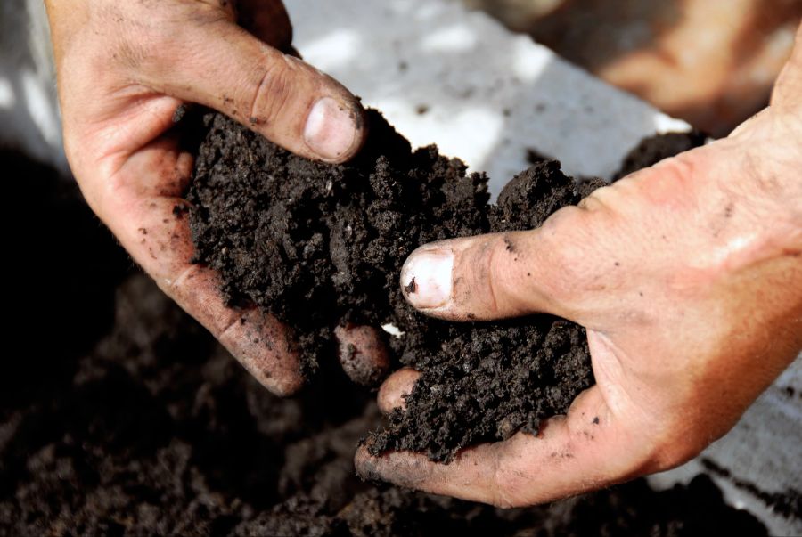 Gartenerde in den Händen eines Mannes