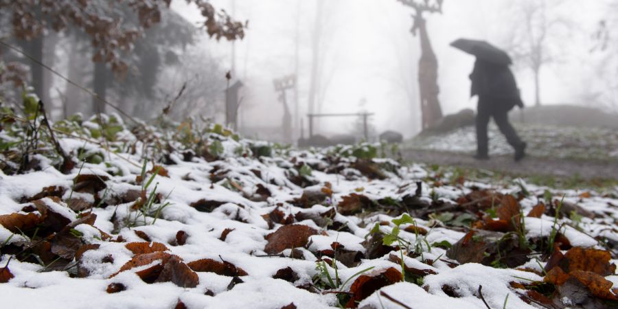 Schnee