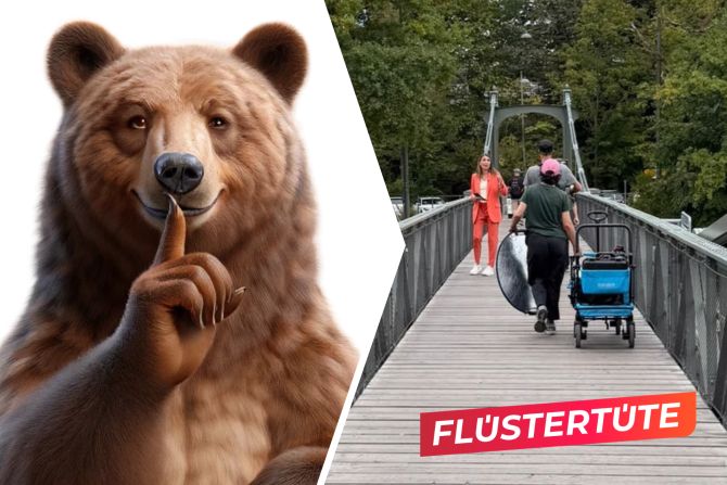 SRF-Kassensturz blockiert Schönausteg
