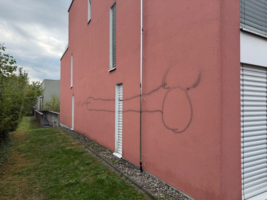 Auch auf der anderen Seite des Mehrfamilienhauses ist ein grosser Teil der Fassade mit obszönen Sprayereien verunstaltet worden.