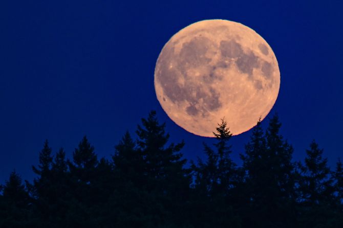 Mond