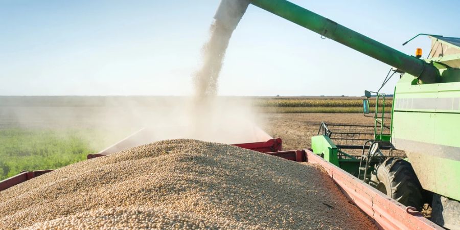 Geerntete Sojabohnen Traktoren Ernte