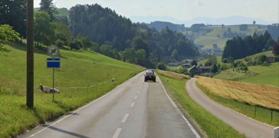 Strasse Mittellinie Fischbach Zell