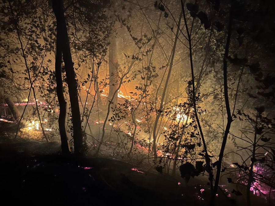 Die Feuerwehr Chestenberg machte diese Fotos vom Waldbrand in Möriken AG.
