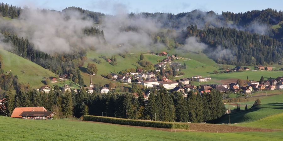 signau