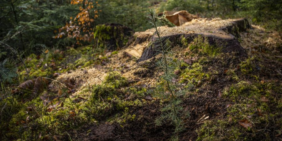 Kanton Luzern