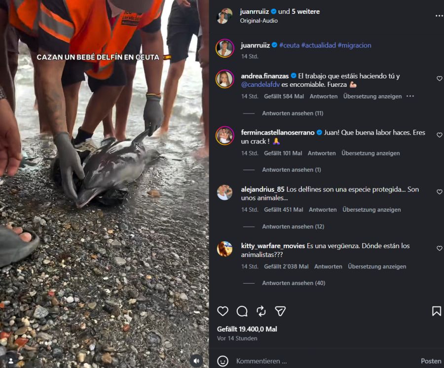 Ein Strand-Mitarbeiter beobachtete die Szene und griff ein. Doch für das Delfin-Baby kam jede Hilfe zu spät – es war bereits tot.