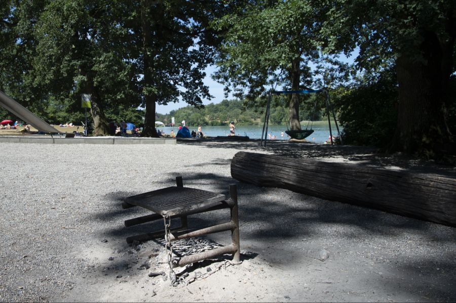 Auch aus Zürich kommt eine Warnung: Sollte sich die Lage nicht deutlich entspannen, könnte am 1. August ein Feuerverbot gelten. (Symbolbild)
