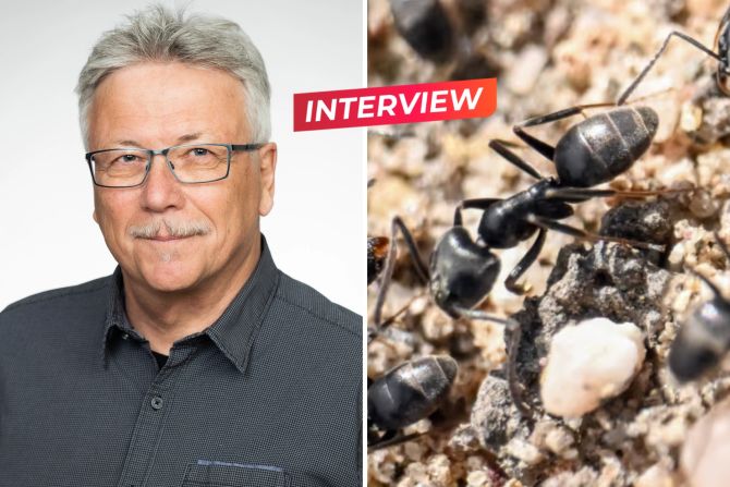 zülle interview