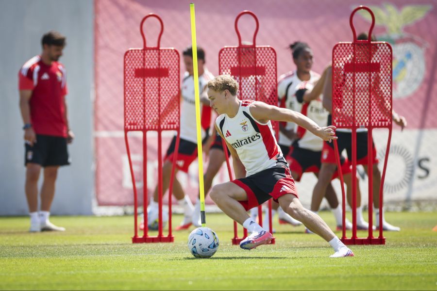 Andreas Schjelderup