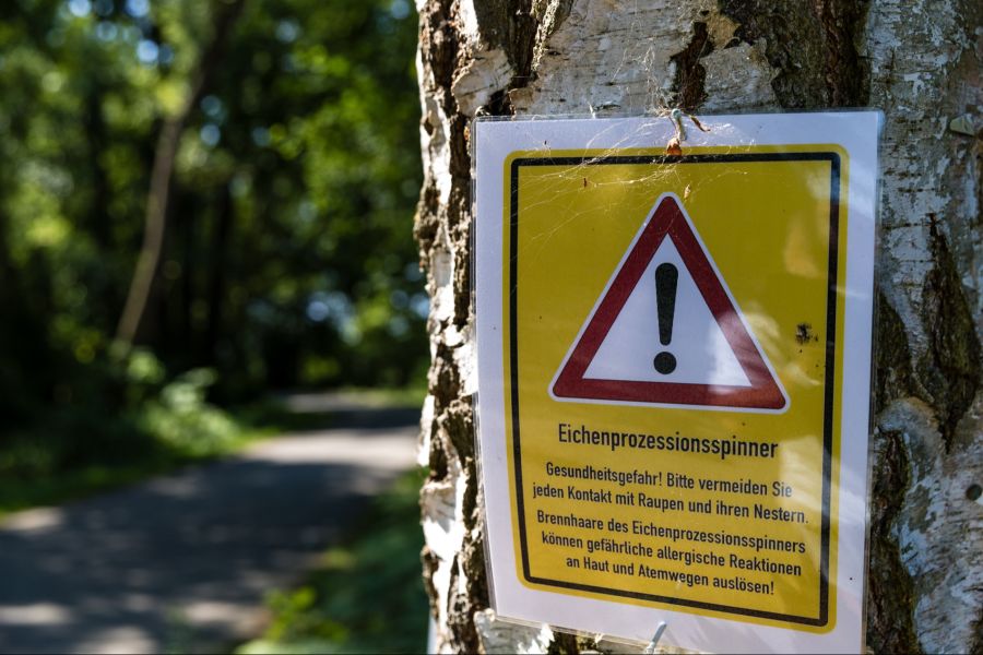 Die Brennhaare der Raupe verursachen Reizungen der Haut.