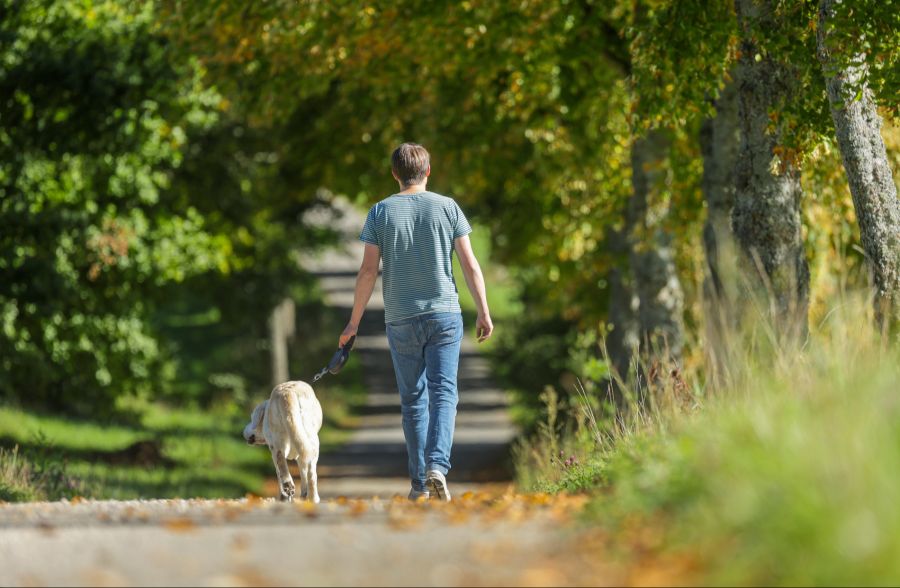 Der Vorfall könnte auch für Schweizer Hundehalter besorgniserregend sein.