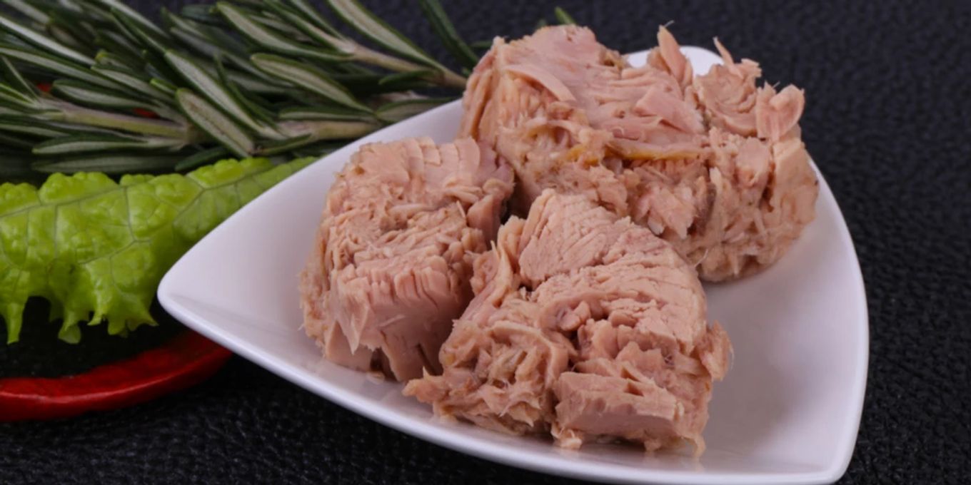 Die wichtigsten Vorteile von Thunfisch aus der Dose Nau Food