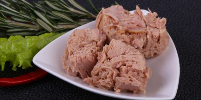 Thunfisch Dose Teller angerichtet