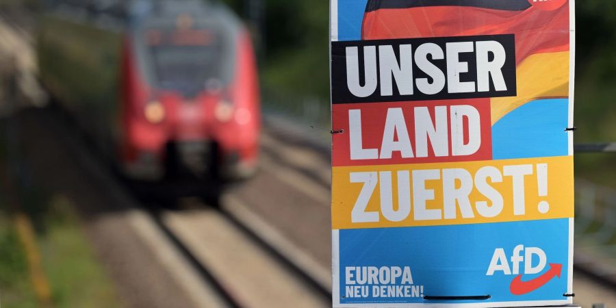 Ein Wahlplakat der AfD für die Europawahl.