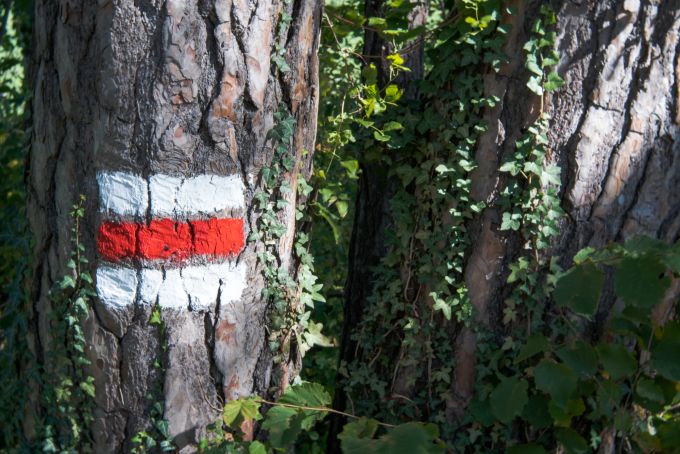 Weiss-rot-weiss markierter Wanderweg stehen für steile, schmale oder exponierte Strecken. Wanderweg