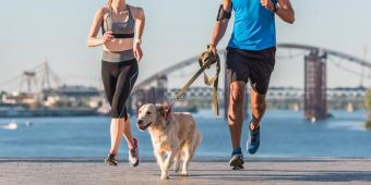 Jogger Hund rennen Leine Stadt