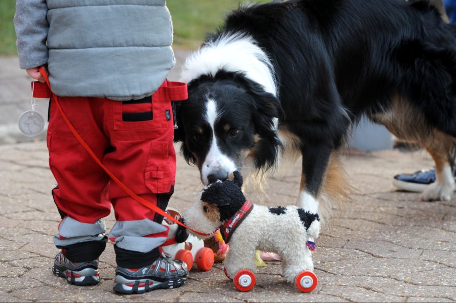 Hund und Kind – kostspielig für die Eltern.