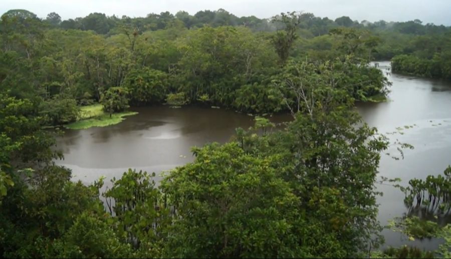 Aus der Fahrt mit dem Dampfer über den Río Napo wird nichts – und damit fiel auch der geplante Dok von SRF ins Wasser.