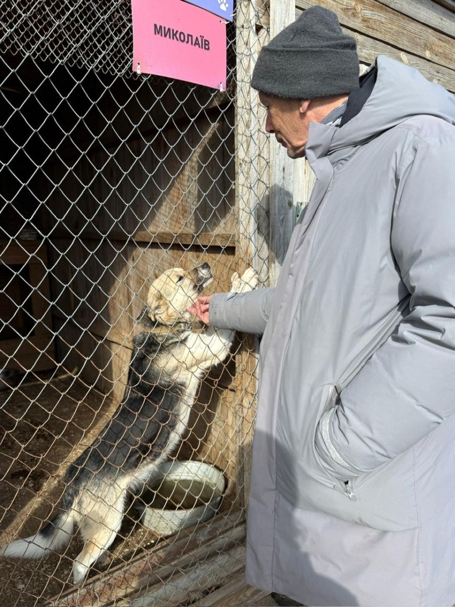 Koch mit einem Schäferhund.