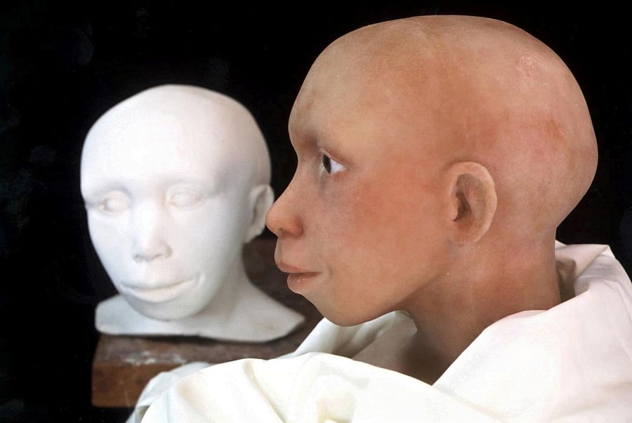 Neandertaler waren uns sehr ähnlich – aber eben doch nicht gleich. Sie hatten länglichere Gesichter und ein fliehendes Kinn.