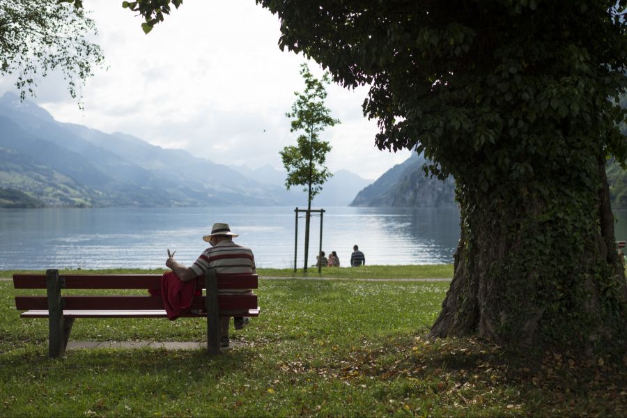 Zu diesem Ergebnis kamen Forschende der Eidgenössischen Forschungsanstalt für Wald, Schnee und Landschaft (WSL).