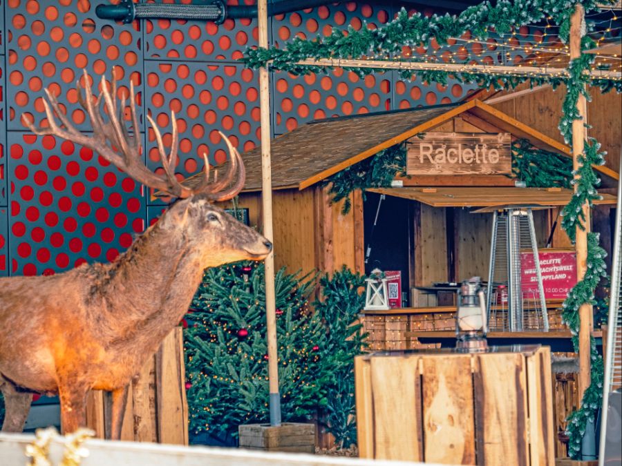 Shoppyland Winterwunderland Weihnachten 2025